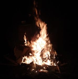 Meet your Posher, Bobby